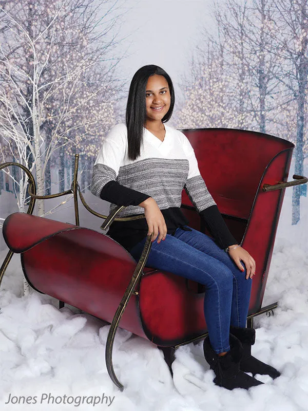 Holiday Boulevard Printed Photo Backdrop