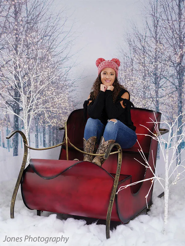 Holiday Boulevard Printed Photo Backdrop