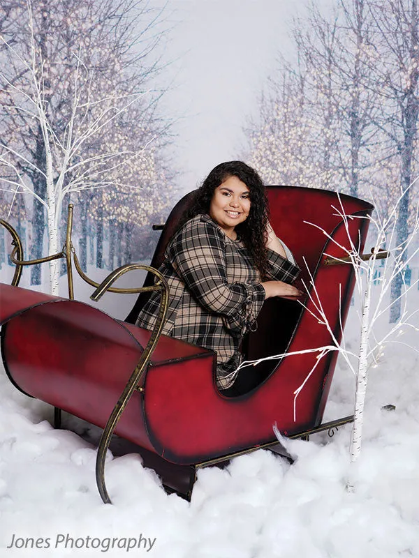 Holiday Boulevard Printed Photo Backdrop